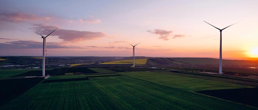 Adaptation: Prepare for disruption. Build resilience.
